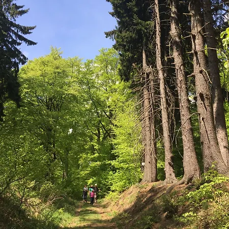 Ringhotel Weisser Hirsch 4*