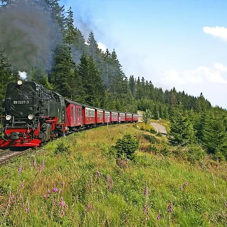 Ringhotel Weisser Hirsch Hotel