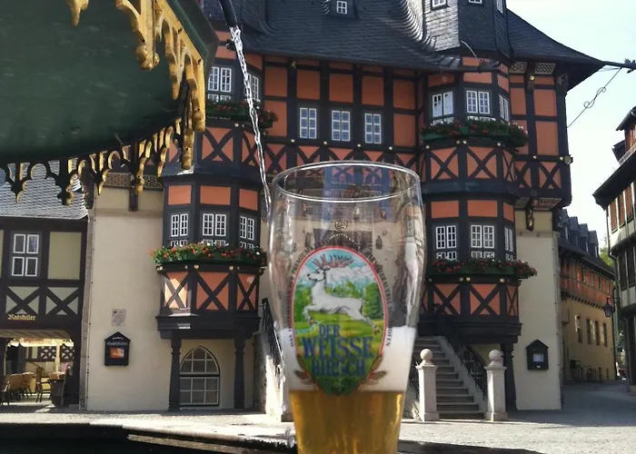 Hotel Ringhotel Weißer Hirsch