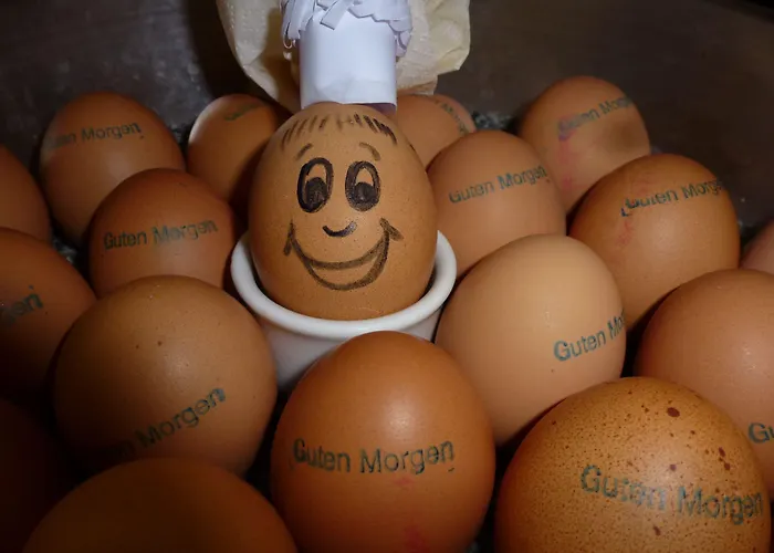 Hotel Ringhotel Weisser Hirsch