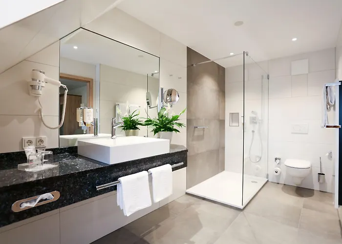 Ringhotel Weisser Hirsch 4*