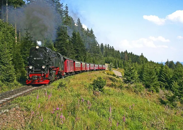 Ringhotel Weißer Hirsch Hotel